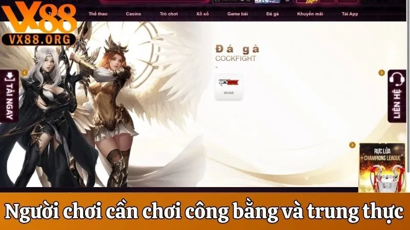 Tìm Hiểu Chi Tiết Về Điều Khoản & Điều Kiện Của VX88 3 Người chơi cần chơi công bằng và trung thực